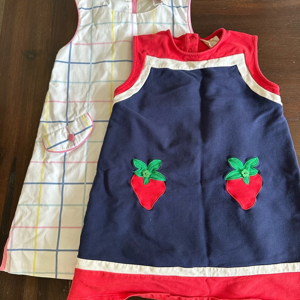 The Beaufort bonnet company dress lot